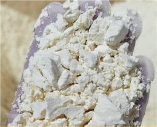 Mung Bean Protein Powder