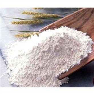 Vital Wheat Gluten Powder